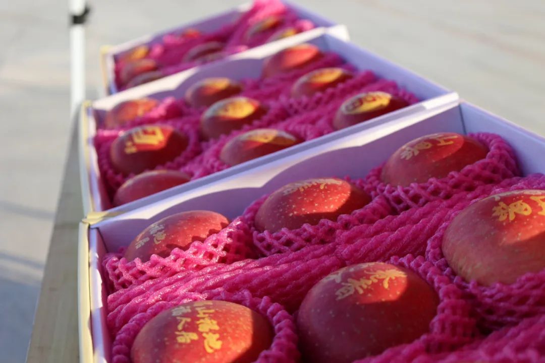 烟台警察版小苹果(警察小苹果表演视频)-第8张图片-有道翻译官网 烟台警察版小苹果(警察小苹果表演视频)-第8张图片-有道翻译官网