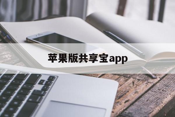 苹果版共享宝app(iphone 共享 app)-第5张图片-有道翻译官网
