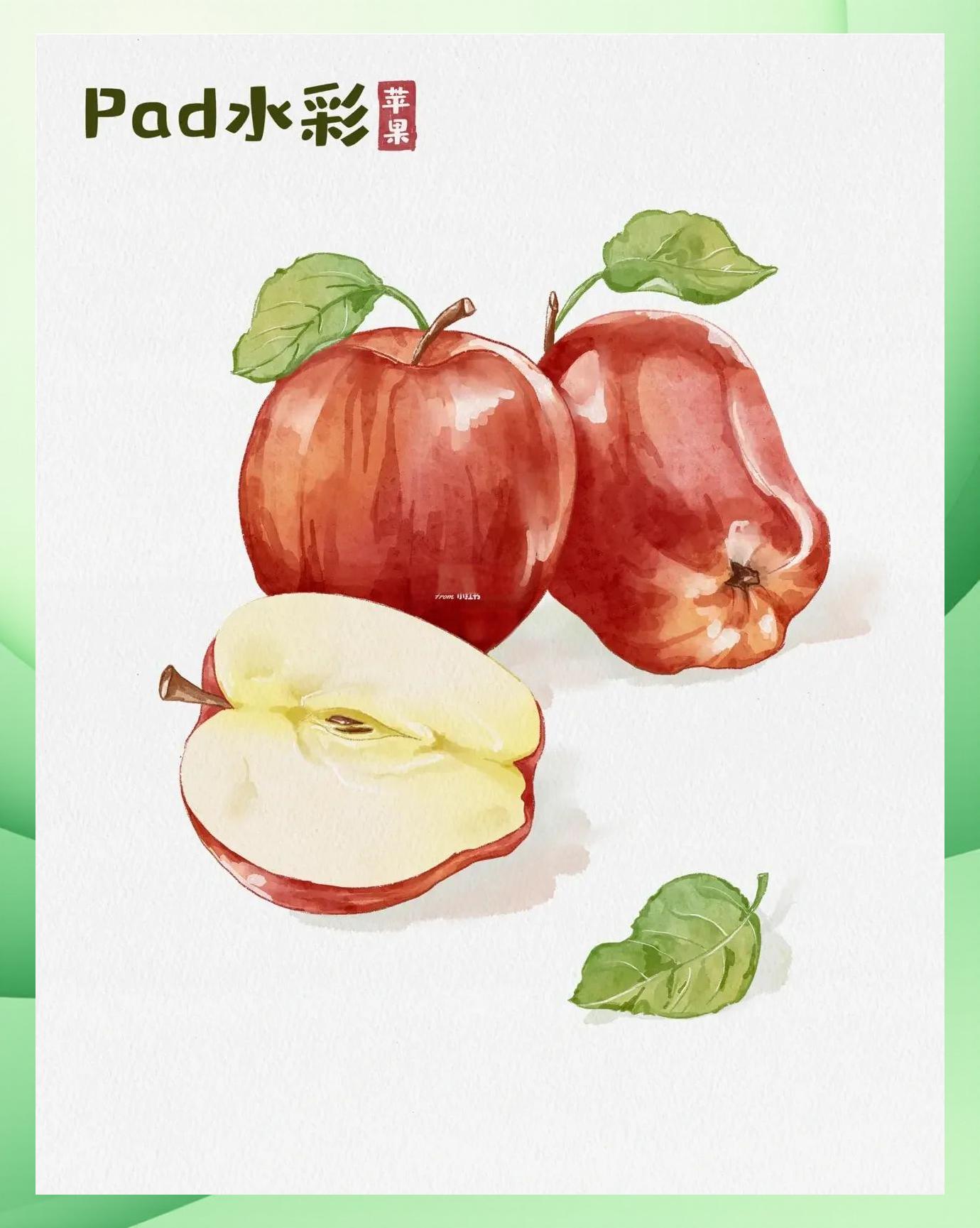 平板绘画教程苹果版(iphone平板绘画软件)-第4张图片-有道翻译官网 平板绘画教程苹果版(iphone平板绘画软件)-第4张图片-有道翻译官网